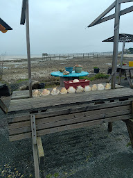 Photo n°46 de Bénard Et Fils dégustation huitres à Fouras (Restaurant de fruits de mer)