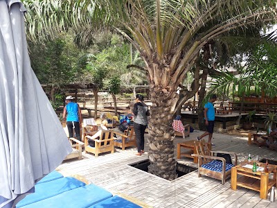 Photos of Bab's Dock