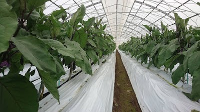 ファームライダース-浅岡農園