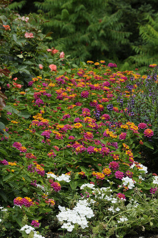 M & L Greenhouse