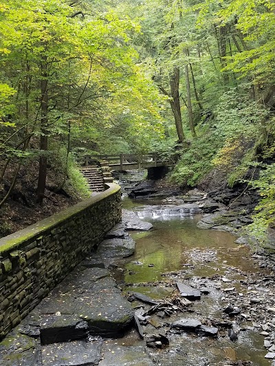 Fillmore Glen State Park