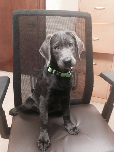 Prodigy Insurance Group - Thumbnail