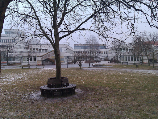 Carl von Linnaeus school for the physically disabled - Thumbnail