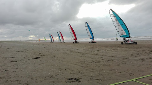 DeStrandzeiler - Visual