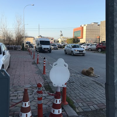 Liva Reklam Ürünleri ve Malzemeleri Sakarya