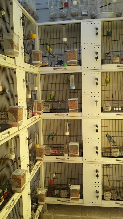 Photos of ECE PETSHOP PET KUAF&Ouml;R