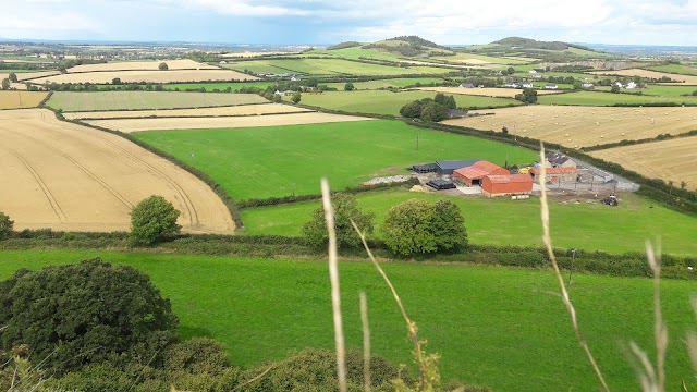 Rock of Dunamase