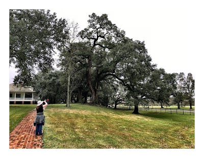 Magnolia Mound