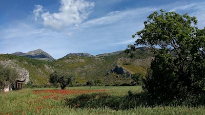 Photos of B&B Eolo