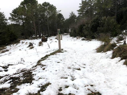 Camí de Les Tosques Gallery - Spain