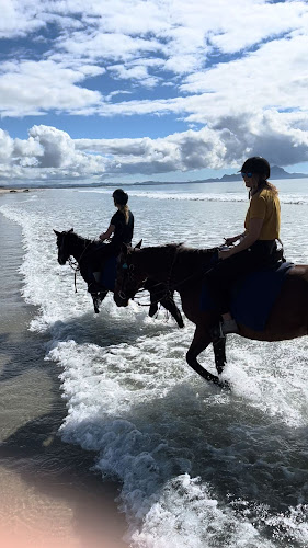 Reviews of Waipu Horse Adventures in Waipu - Museum