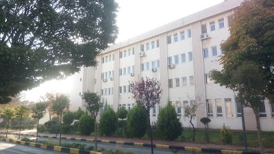 Department of Food Engineering