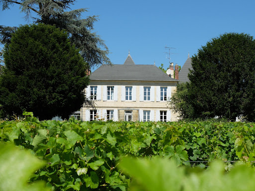 Château Jouvente Gallery - France