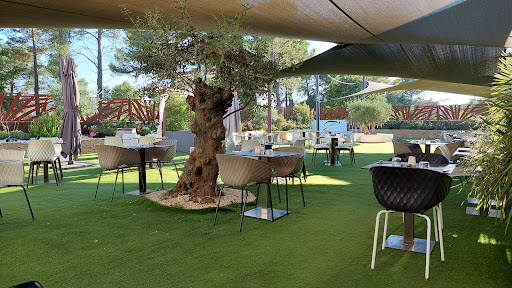 Photo 4 - Le Zest