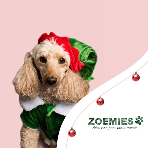Zoemies.nl Dé online dierenwinkel van Nederland!