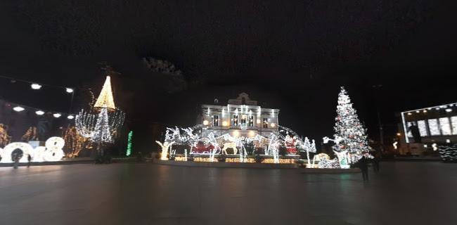 Primăria Municipiului Pitești - Arhitect