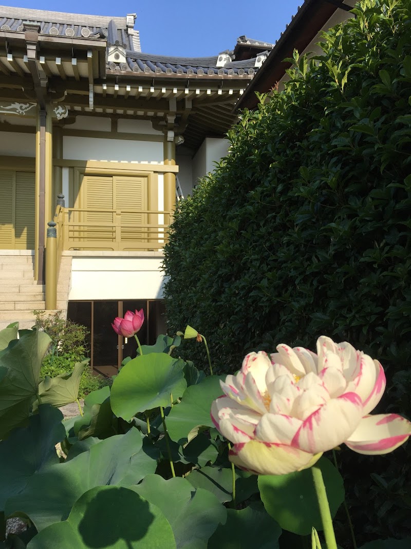 浄土真宗本願寺派 九龍山 信徳寺