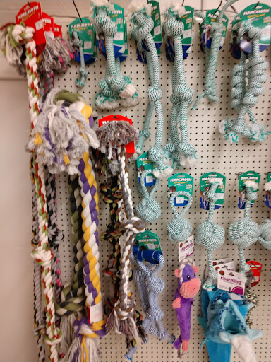 Blue Dog Pet Shop - Thumbnail