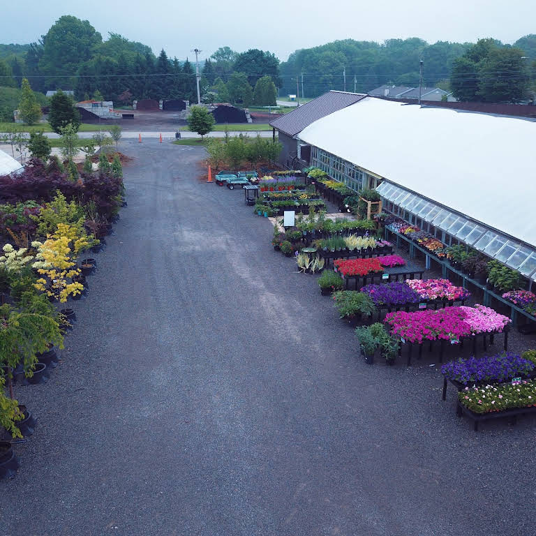 Cottage Garden Flowers Hermitage Pa Best Flower Site
