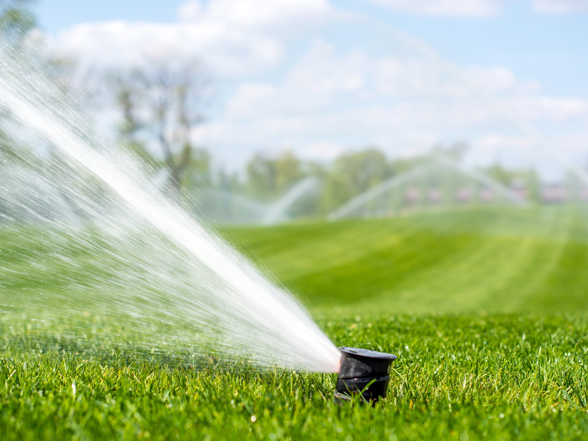Parkway Sod and Sprinkler