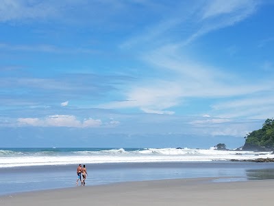 Photos of Local Surf School