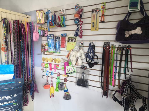 Viví pet shop - Thumbnail