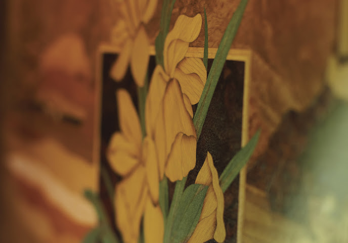 Northern Belle by null