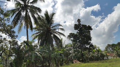 Photos of Pajagungan Bawah