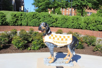 University of Tennessee