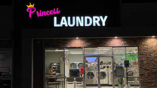 Princess Laundry - Visual