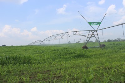 Photos of Ridiyagama NLDB Dairy Farm