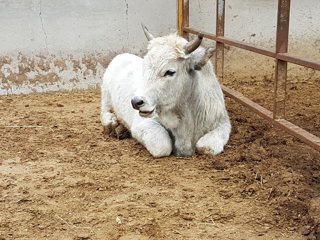 Agricoltura Nuova