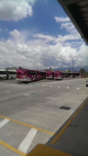Talleres Mexibus L3 - Thumbnail