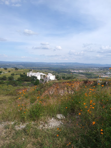La terraza del palomo - Thumbnail