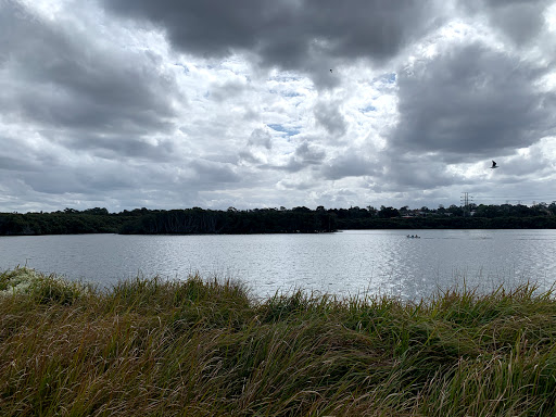 Millennium Parklands - Thumbnail