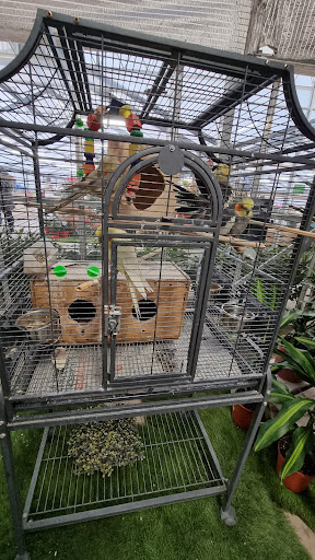 Garden Idea - Thumbnail