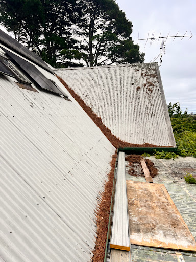 post-image-1
