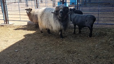 The Farm And Ranch Musem