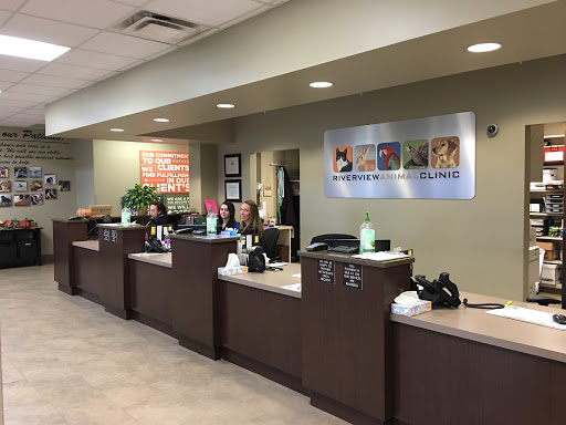 Riverview Animal Clinic - Thumbnail