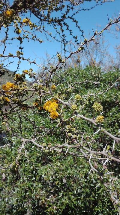 Photos of Camping Cerro Viejo