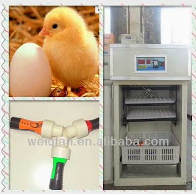 Photos of Neochicks Poultry Limited