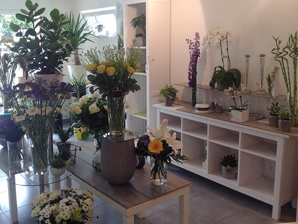 Avis sur Fleuriste Histoire de Fleurs à Strasbourg - Fleuriste
