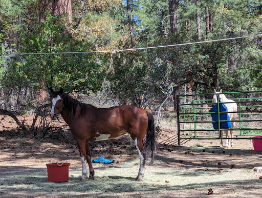 Groom Creek Horse Camp - Thumbnail