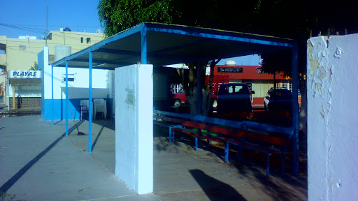 Autobuses Publicos - Thumbnail