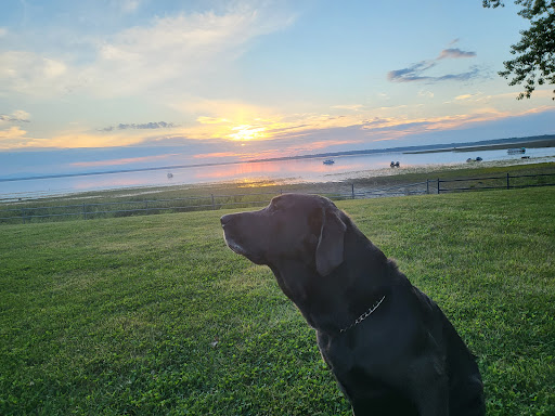 Swanton Beach - Thumbnail