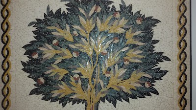 Photos of Jordan Select Tours