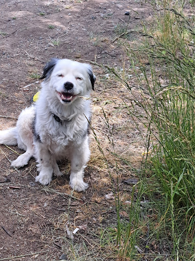 North Coast Pet Clinic - Thumbnail