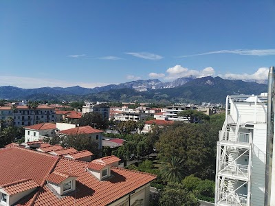 Photos of Hotel Excelsior