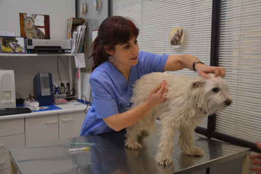 Medicina Veterinaria María Muñiz Galarza