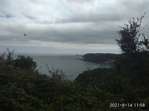 Watcombe Cliffs - Visual